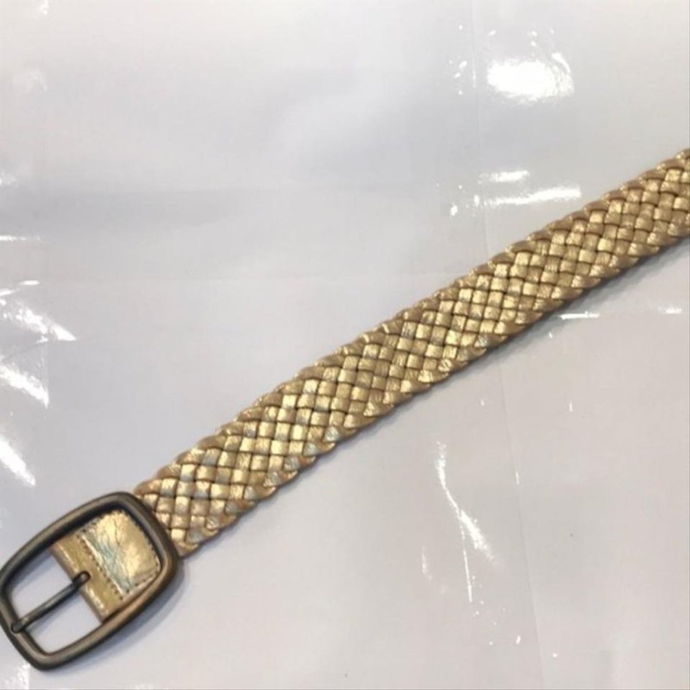 Fossil Belt - Picture 2 of 8